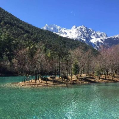 阳光风景高清头像