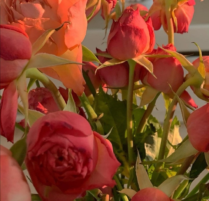 有意境有氛围的庆祝微信素材图片