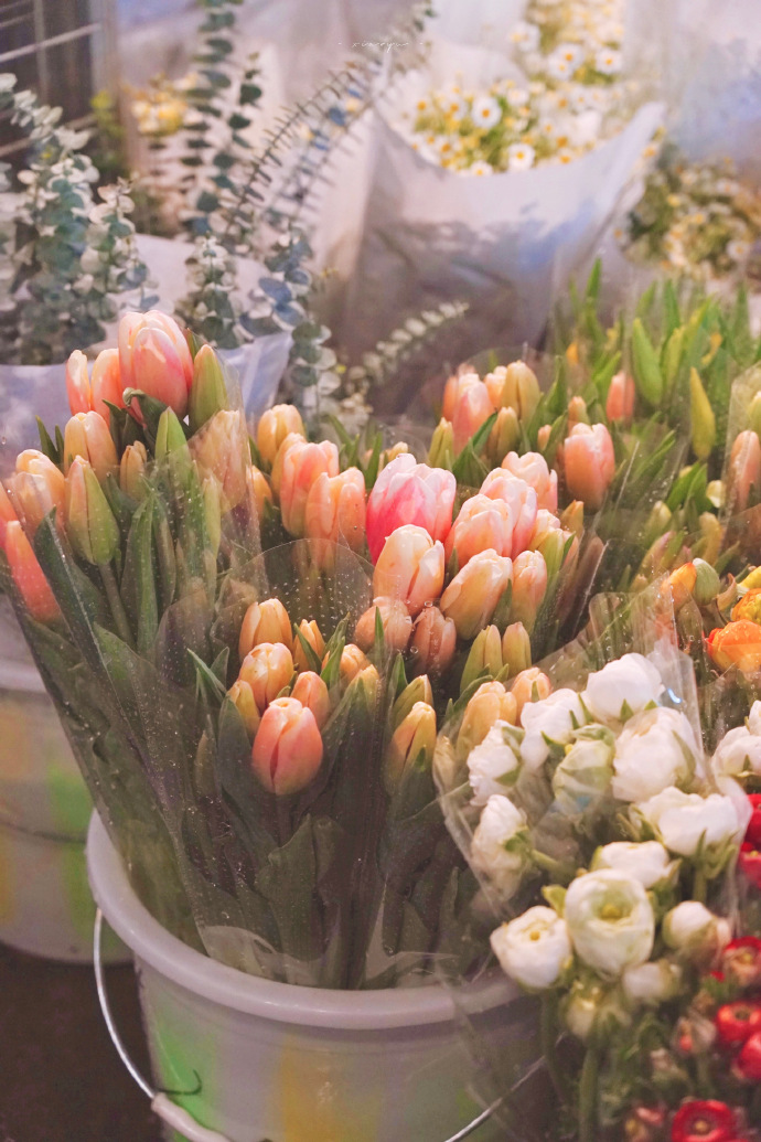 超美的鲜花个性微信头像