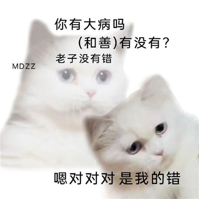 超级萌宠的小猫咪表情包