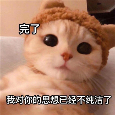 搞笑的微信表情包
