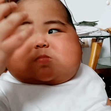 肉嘟嘟的tatan吃面包微信表情包