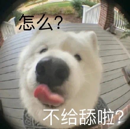 想要色色的猫咪和狗狗微信表情包