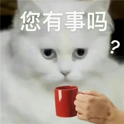 聊天变丰富的趣味好笑表情