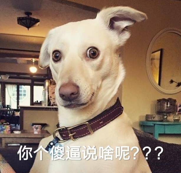 2021可永久使用的最新搞笑微信表情包