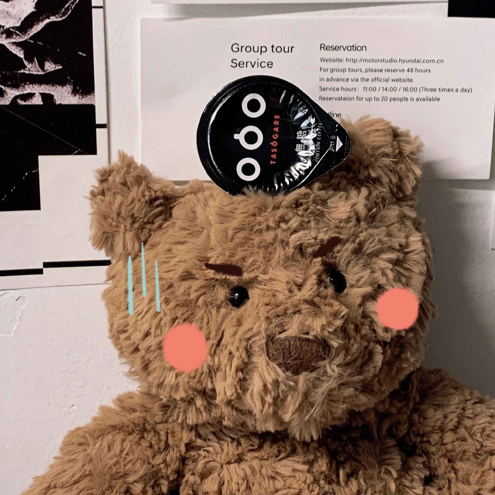 巴塞罗熊可爱微信头像