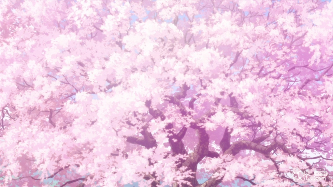 《此花亭奇谭》里的樱花素材图片