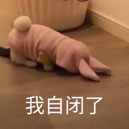 最新日常聊天沙雕微信表情包