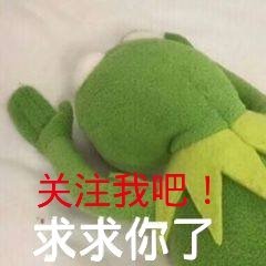 求关注套系微信表情包