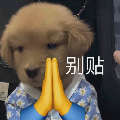 网上很流行的趣味表情包