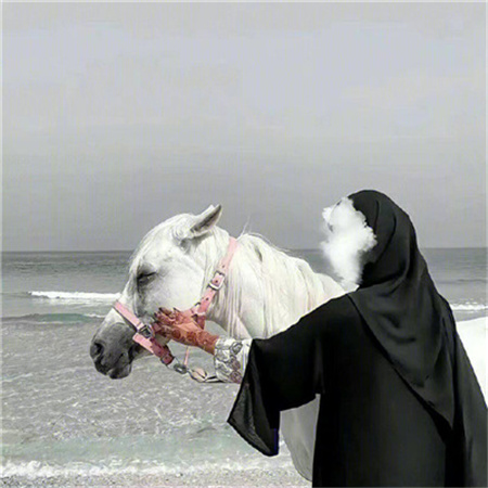 颜值很高的气质背景