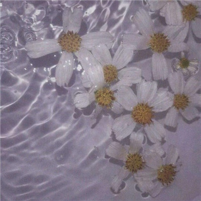 四月治愈系又好看的风景微信头像