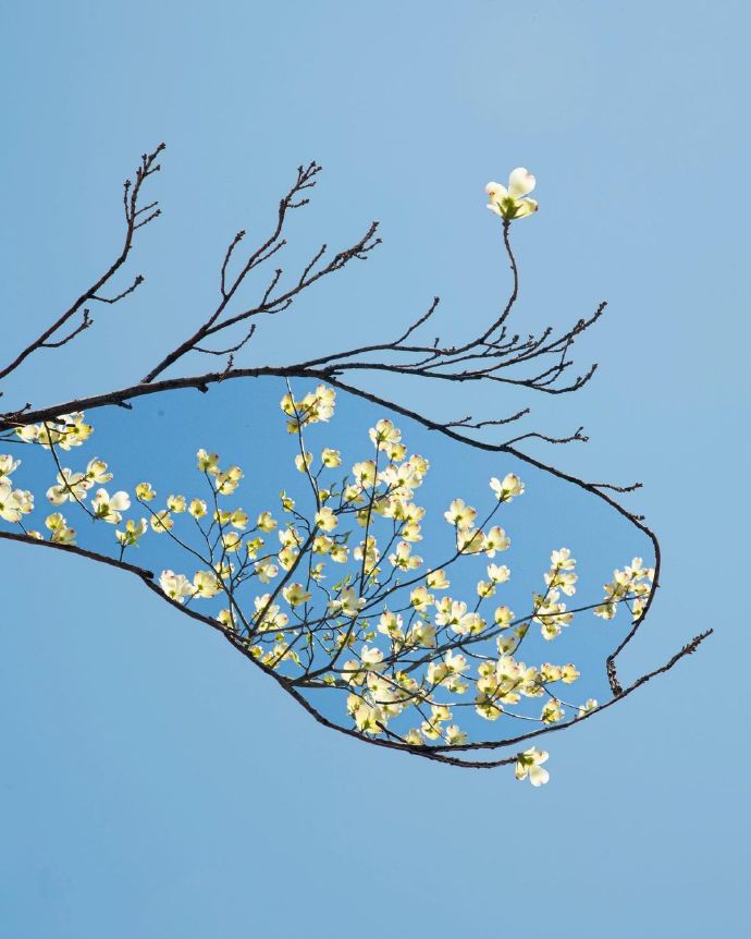 超美的景色遐想微信头像