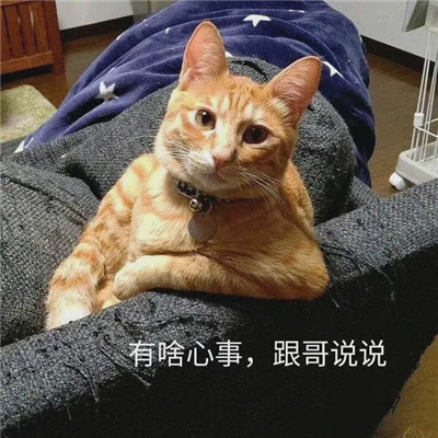 姐妹情感沟通专用表情包