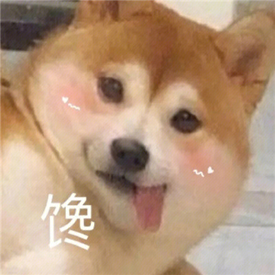 涩涩系列表情包