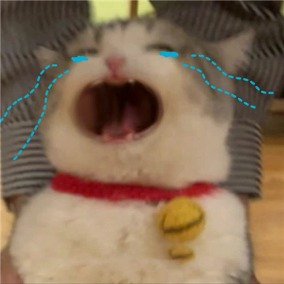 有趣搞怪的大嘴猫表情包