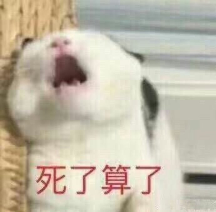 怼人耍赖小猫咪微信表情包