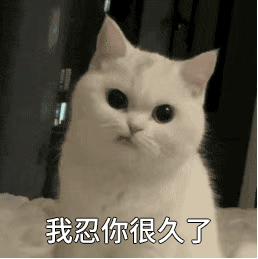 日常必备的搞怪动态表情