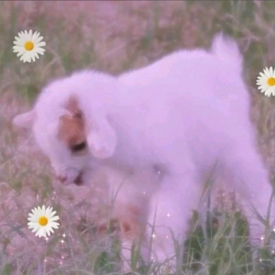 四月治愈系又好看的风景微信头像