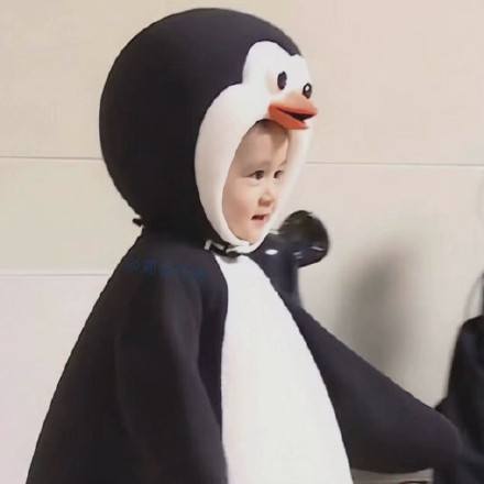 可爱的本特利微信头像