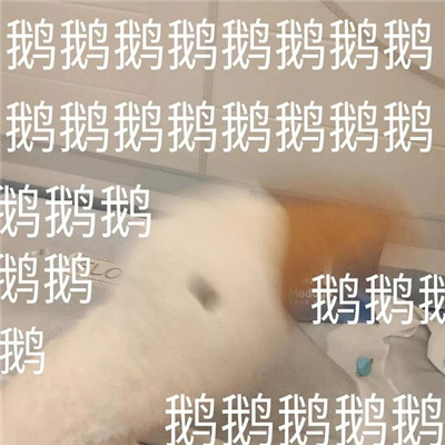 爆笑搞怪表情包