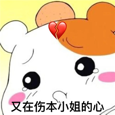 最新版超级萌的撩帅哥专用表情包