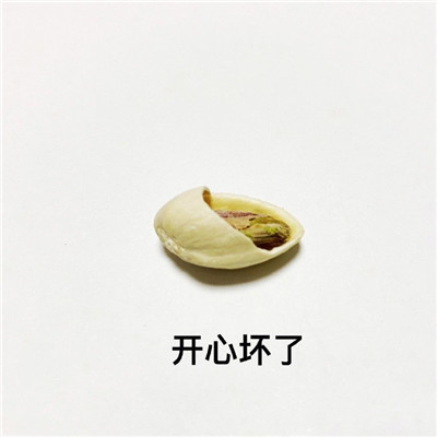 开心果的不同有趣解读微信表情包