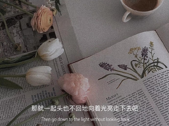 一句话好看风景微信聊天背景图