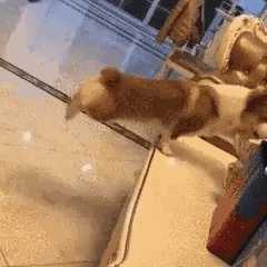 沙雕搞笑的动态微信表情包