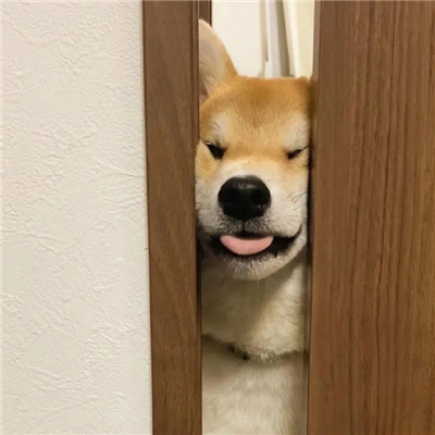 很搞怪的又很俏皮的情侣头像