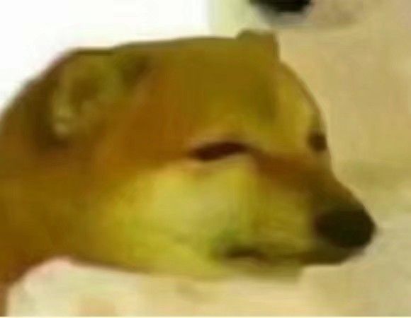 沙雕笑裂了狗头微信表情包