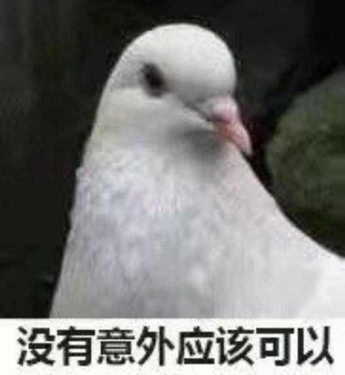 鸽子沙雕好玩微信表情包