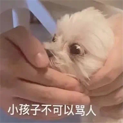 评论区聊天表情