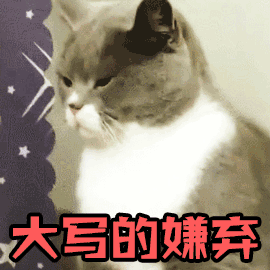 可爱猫猫萌萌的动态微信表情包