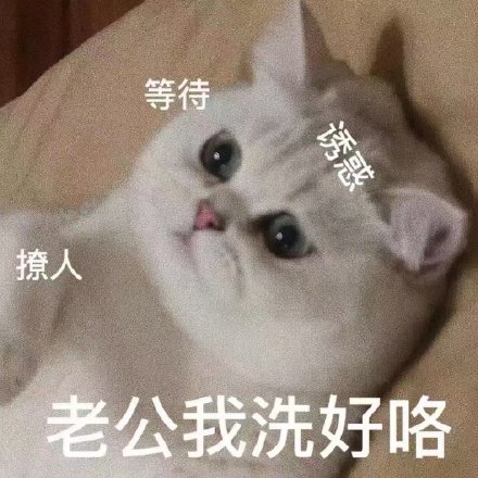 想要色色的猫咪和狗狗微信表情包
