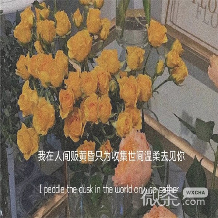 很温柔的带字走心朋友圈背景图