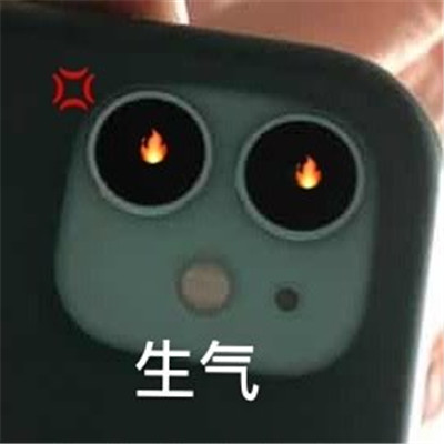 苹果后置相机奇怪又有趣的表情包
