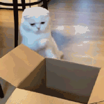 沙雕搞笑的动态微信表情包