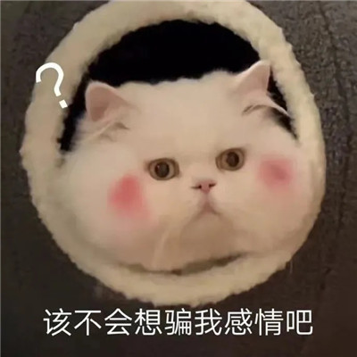 最新版超级萌的撩帅哥专用表情包