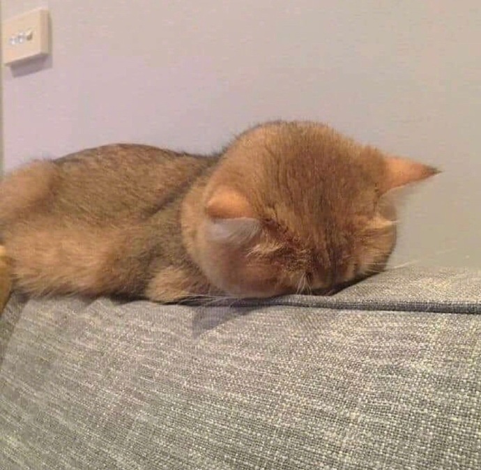 周一综合症可爱微信表情包