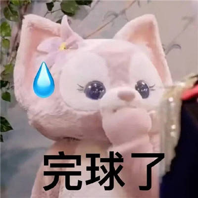 最近很火热门表情包