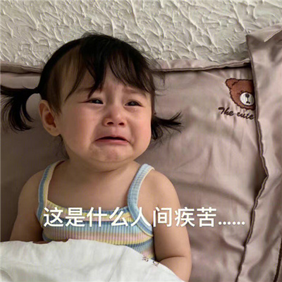 最火表情包合集