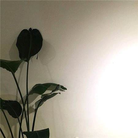 很火很热门丧系ins风微信朋友圈背景图