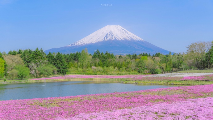富士山的初夏微信素材图片