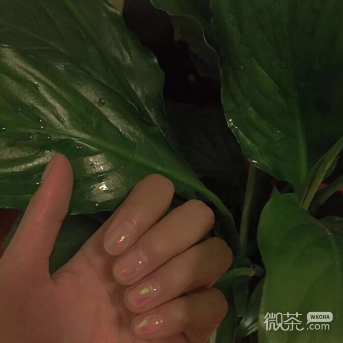 好看的唯美的微信朋友圈背景图