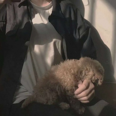 看着舒服但又很霸气的男生头像