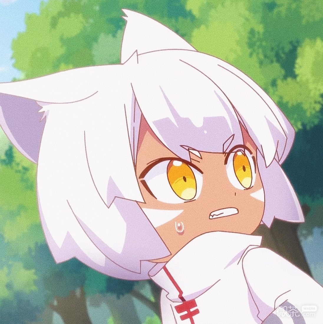 《猫之茗》可爱微信头像
