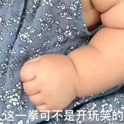 网络热门憨憨表情包