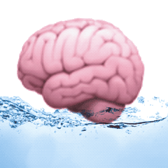 关于大脑的动态聊天表情