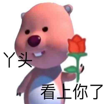 万能斗图表情